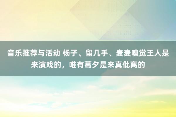 音乐推荐与活动 杨子、留几手、麦麦嗅觉王人是来演戏的，唯有葛夕是来真仳离的